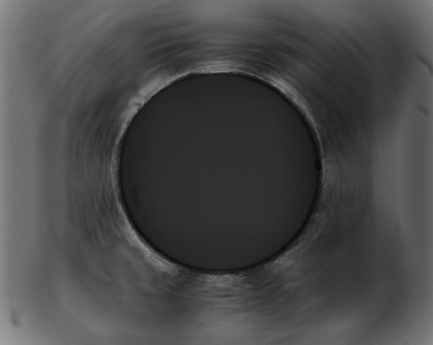X0000103131429200809121722
