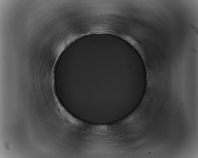 X0000103131431200809121722