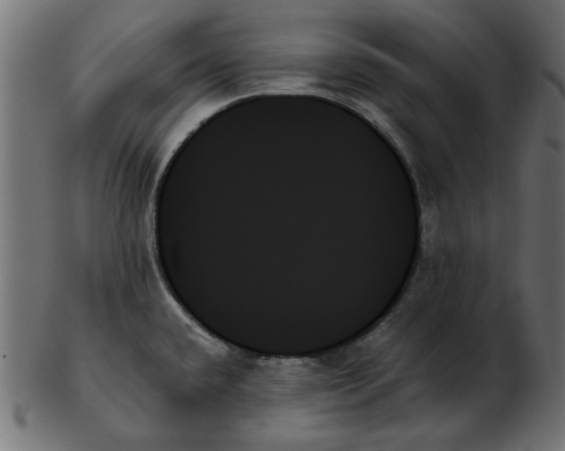 X0000103131432200809121722