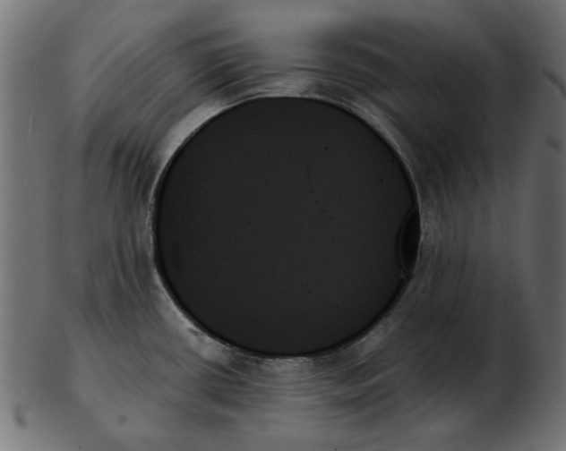 X0000103131434200809121722