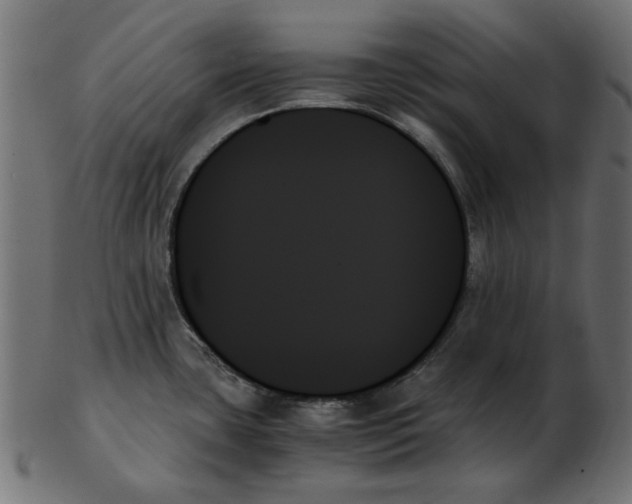 X0000103131435200809121722