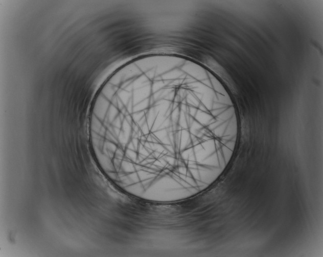 X0000103131436200809121722