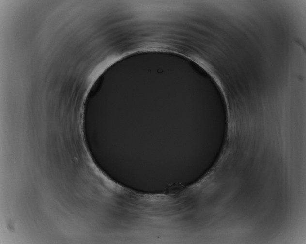 X0000103131437200809121722