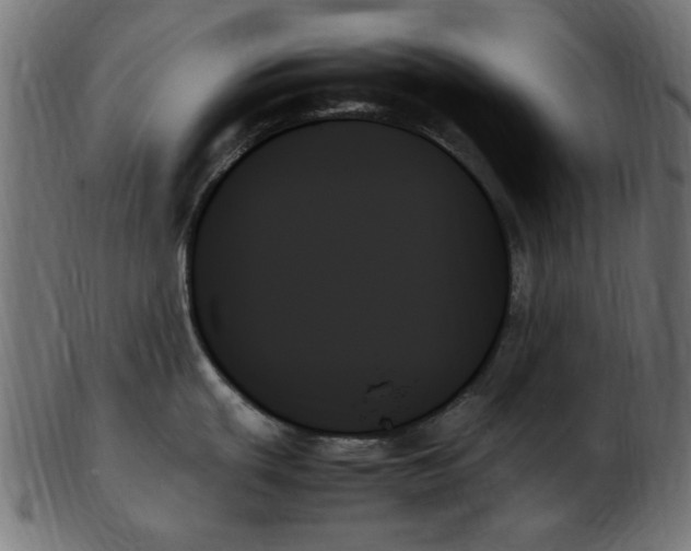 X0000103131439200809121722
