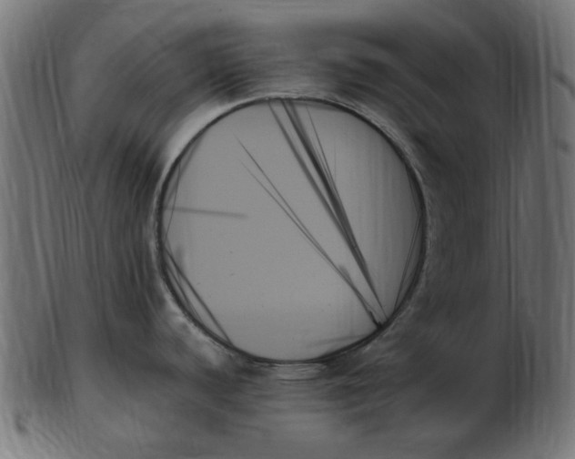 X0000103131440200809121722