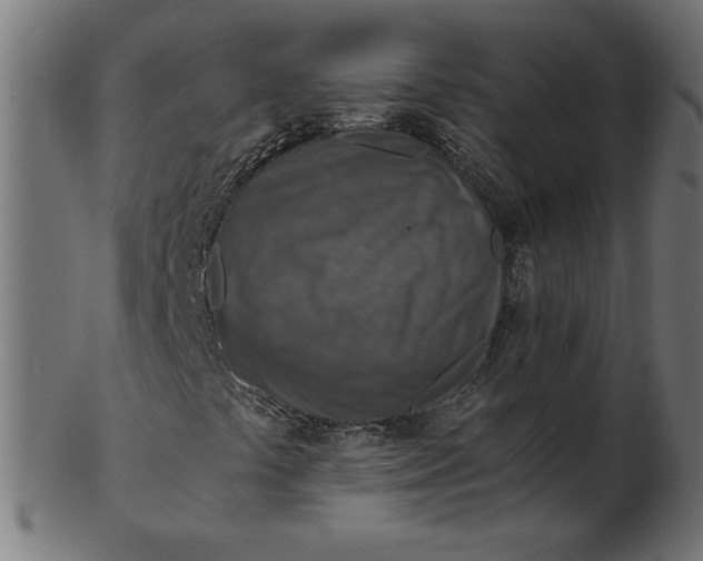 X0000103131441200809121721