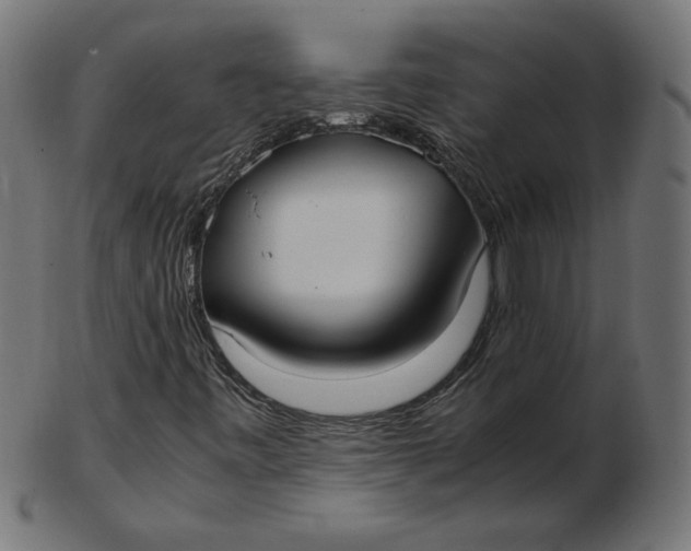 X0000103131443200809121721