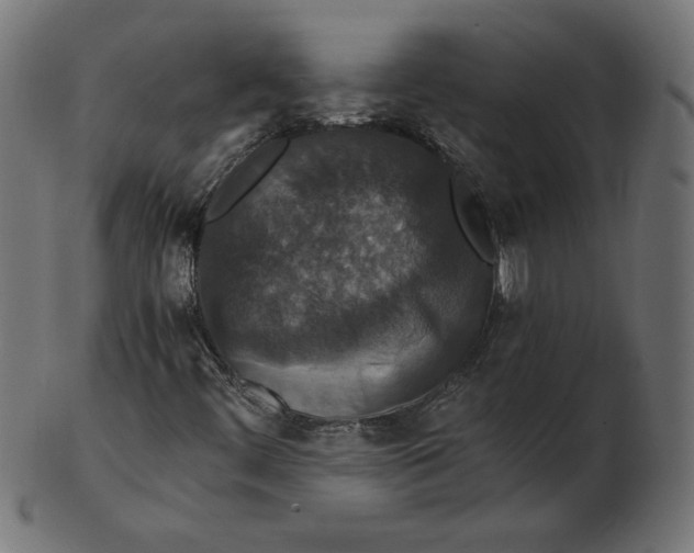 X0000103131444200809121721