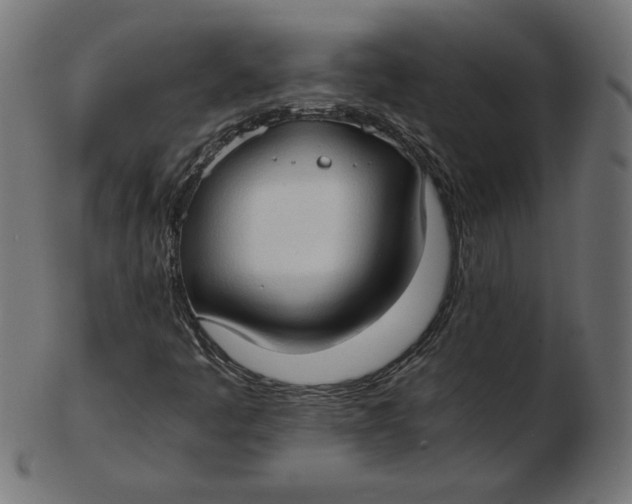 X0000103131445200809121721