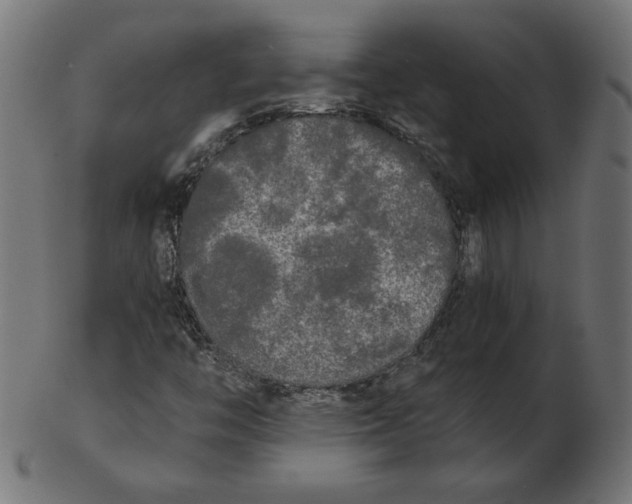 X0000103131446200809121721