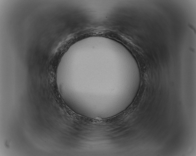 X0000103131447200809121721