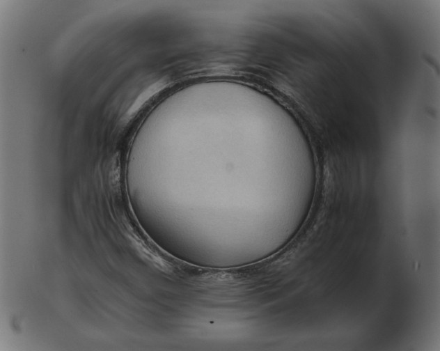 X0000103131450200809121721