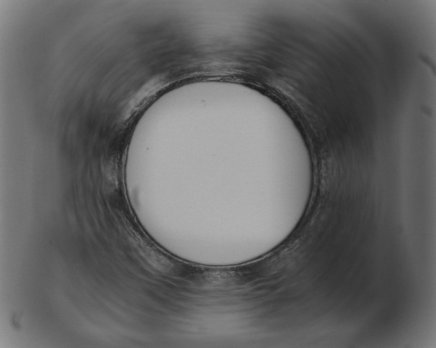 X0000103131451200809121721