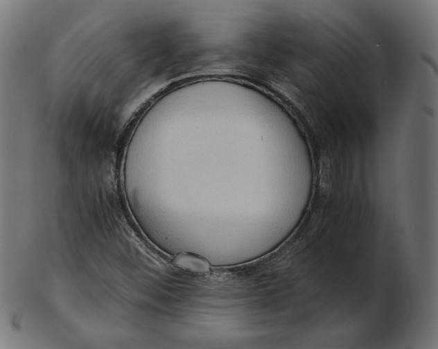 X0000103131452200809121721