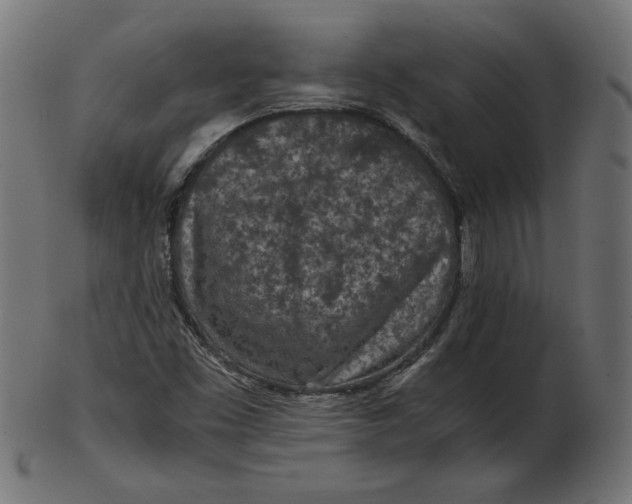 X0000103131453200809121721