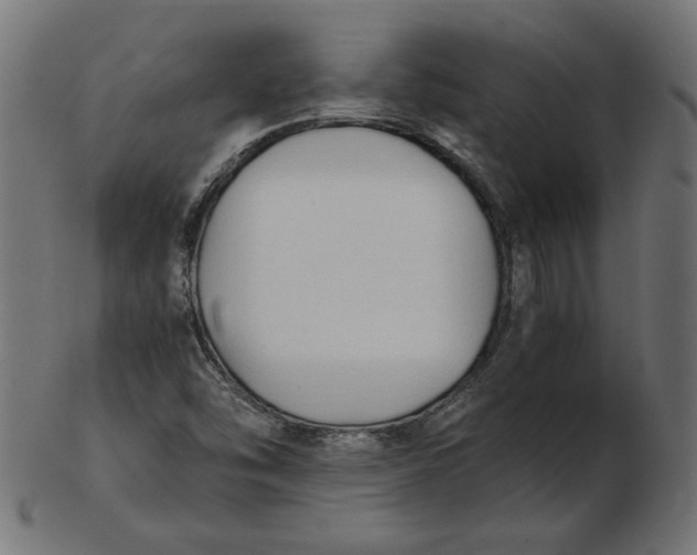 X0000103131454200809121721