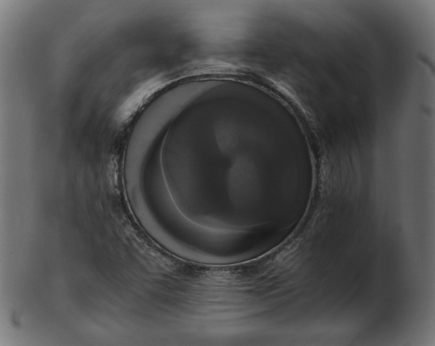 X0000103131455200809121721
