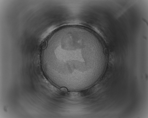X0000103131456200809121721