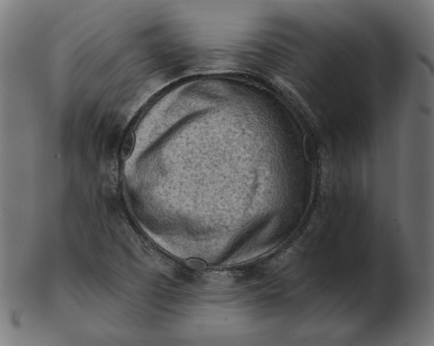 X0000103131457200809121721