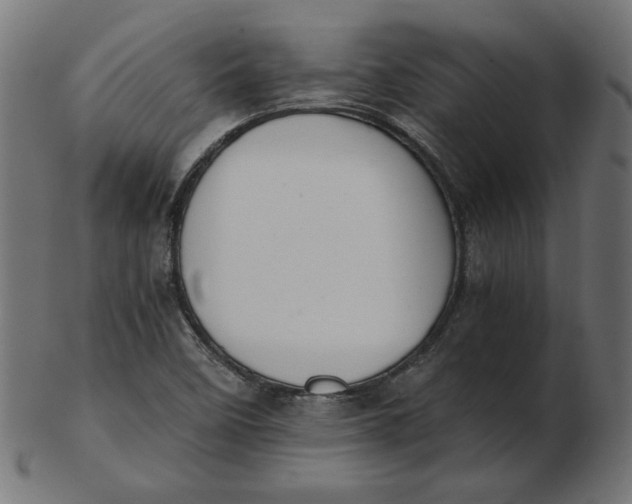 X0000103131458200809121721