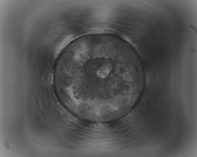 X0000103131459200809121721