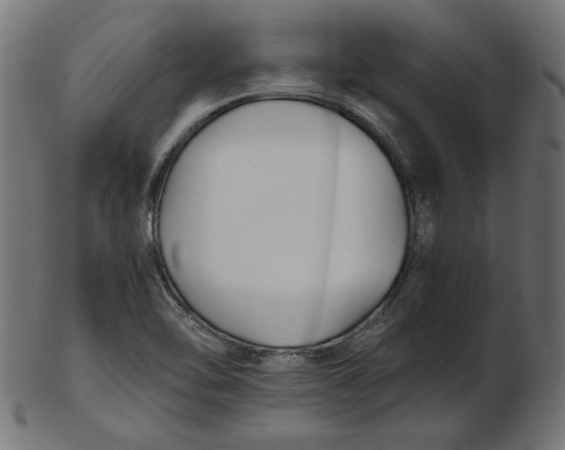 X0000103131462200809121721
