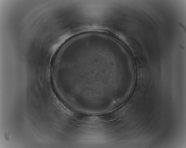 X0000103131463200809121721