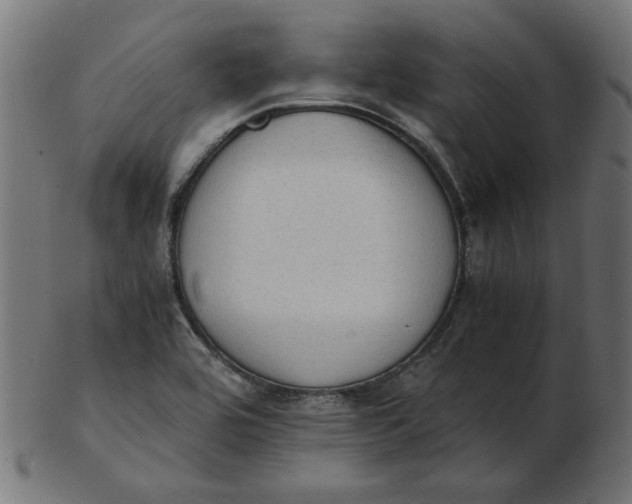 X0000103131464200809121721