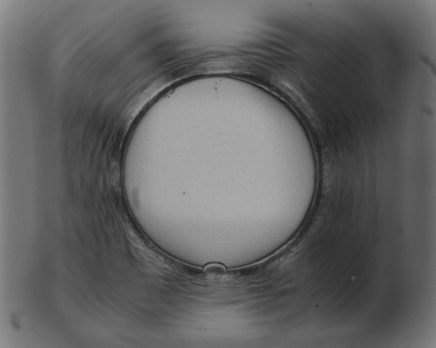 X0000103131465200809121721