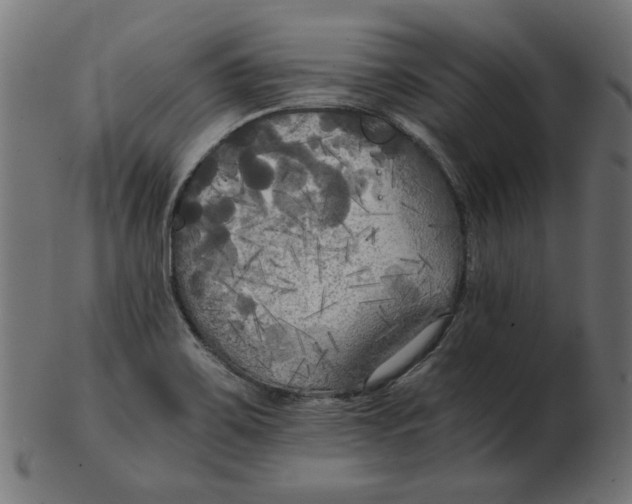 X0000103131467200809121721
