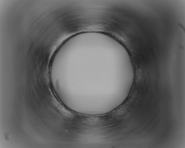 X0000103131470200809121721