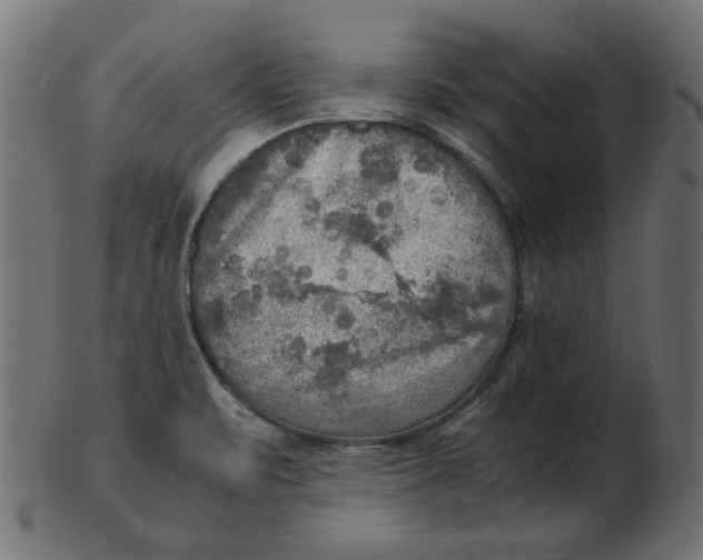 X0000103131471200809121721