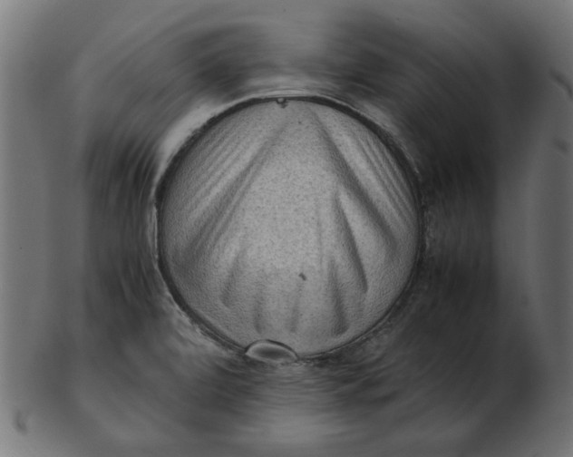 X0000103131472200809121721