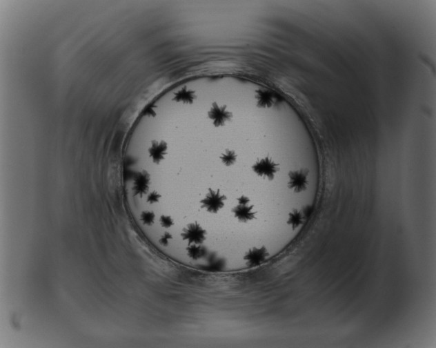 X0000103131473200809121721