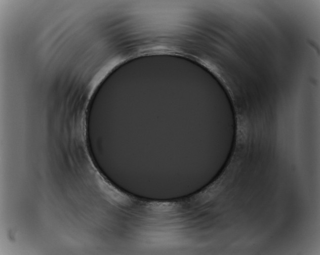 X0000103131474200809121721
