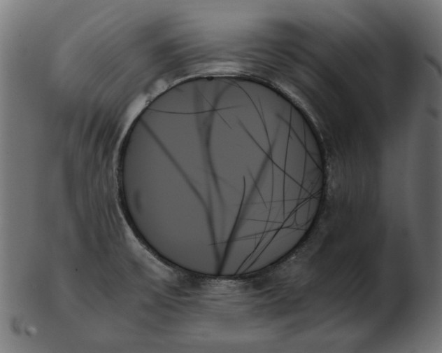 X0000103131475200809121721