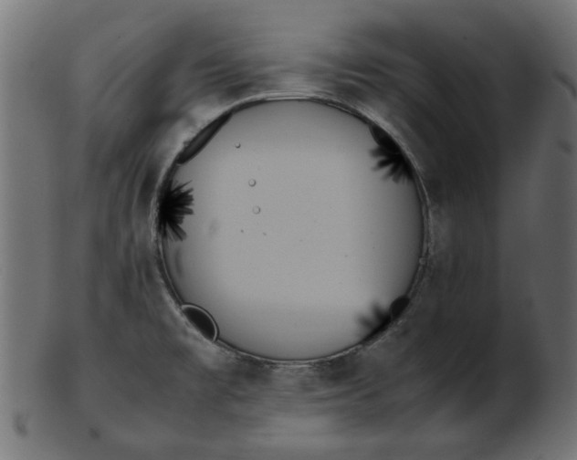 X0000103131477200809121721