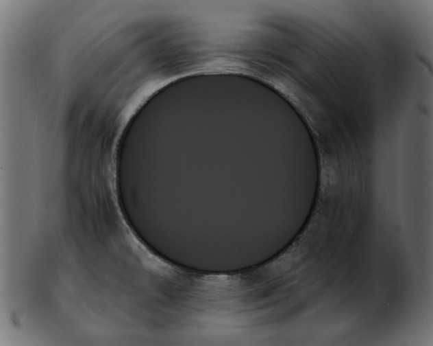 X0000103131478200809121721