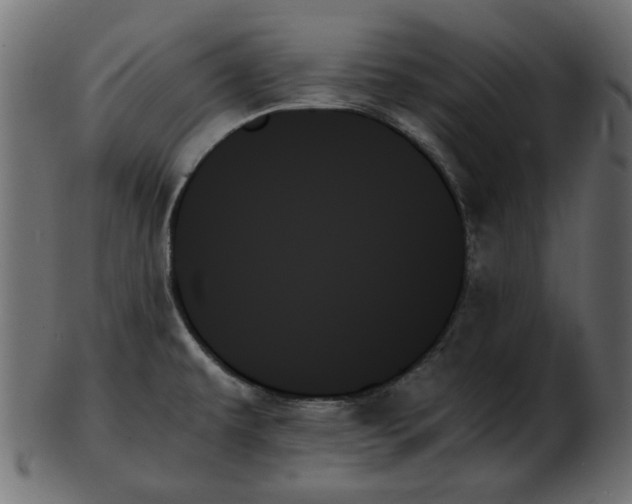 X0000103131479200809121721