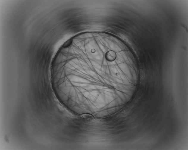 X0000103131480200809121721