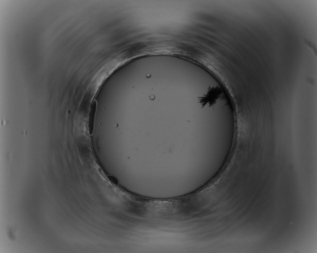 X0000103131481200809121721