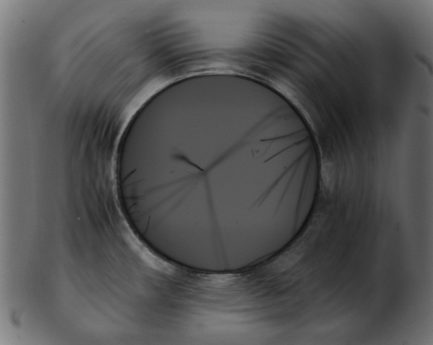 X0000103131482200809121721