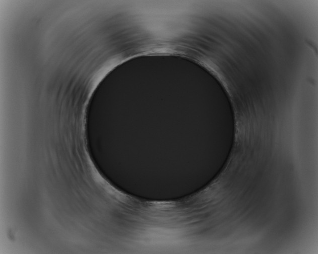 X0000103131483200809121721