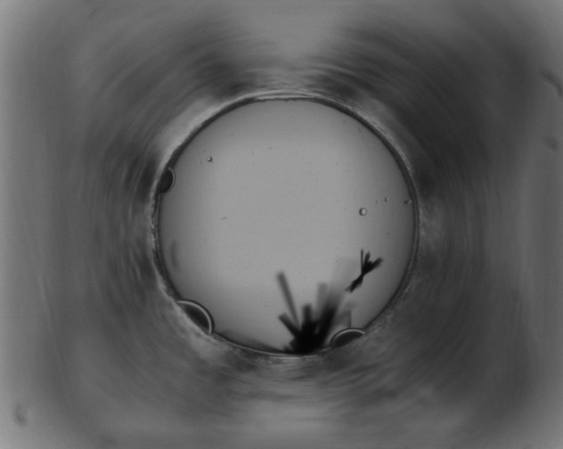 X0000103131485200809121721