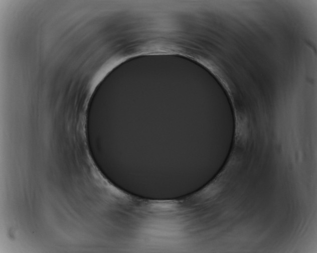 X0000103131486200809121721