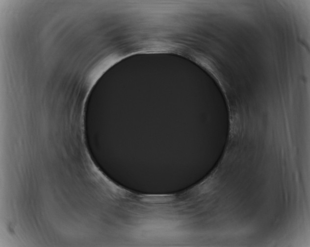 X0000103131487200809121721