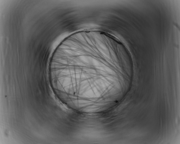 X0000103131488200809121721