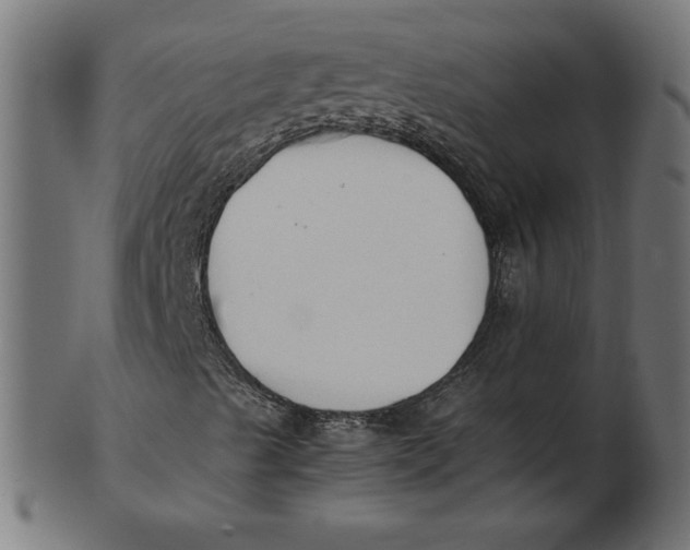 X0000103131489200809121720