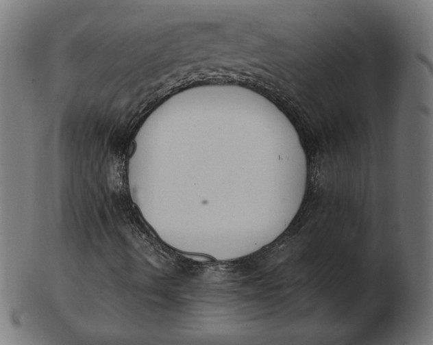 X0000103131490200809121720