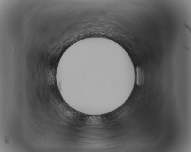 X0000103131491200809121720